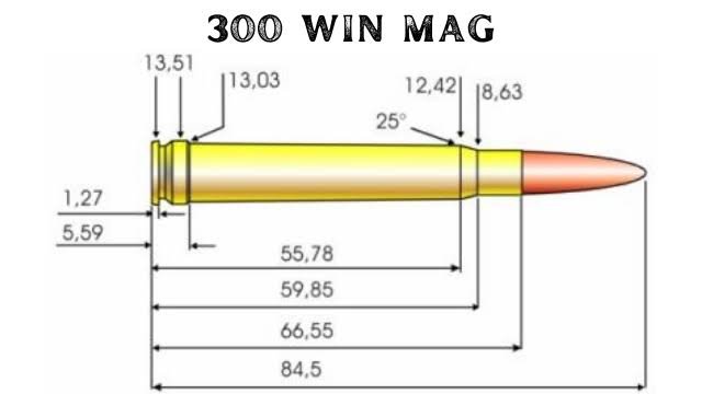 300 Win Mag Avis: Is It Worth It for Hunting and Range Use?